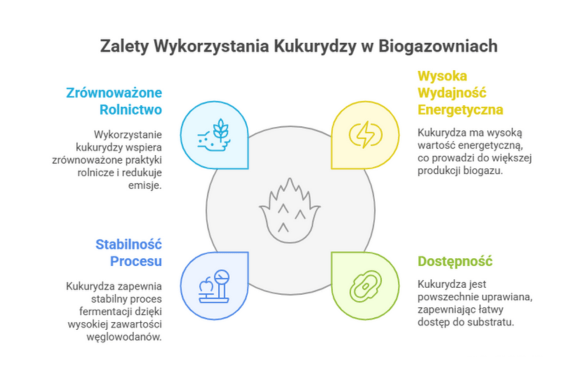 Zalety wykorzystania kukurydzy w biogazowniach – zrównoważone rolnictwo, wysoka wydajność energetyczna, stabilność procesu fermentacji i łatwa dostępność kukurydzy jako surowca do produkcji biogazu
